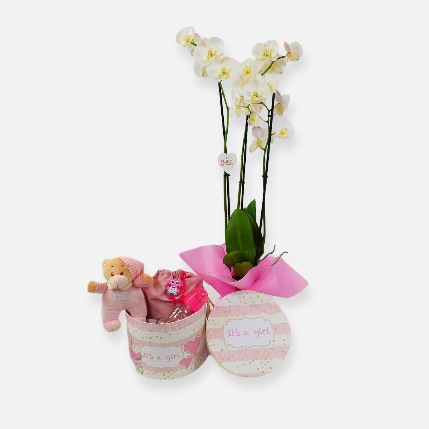 Baby Girl Orchid GB1348